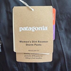 Patagonia Women's Black Storm Pants